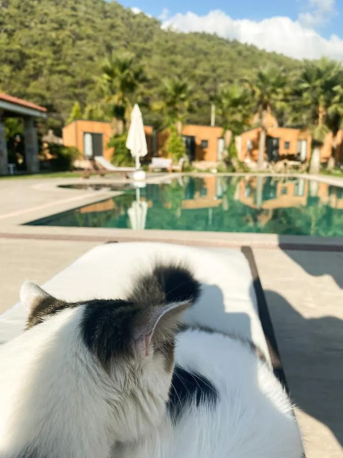 Tatil parkı Riverside Gocek Apart Otel Fethiye Türkiye